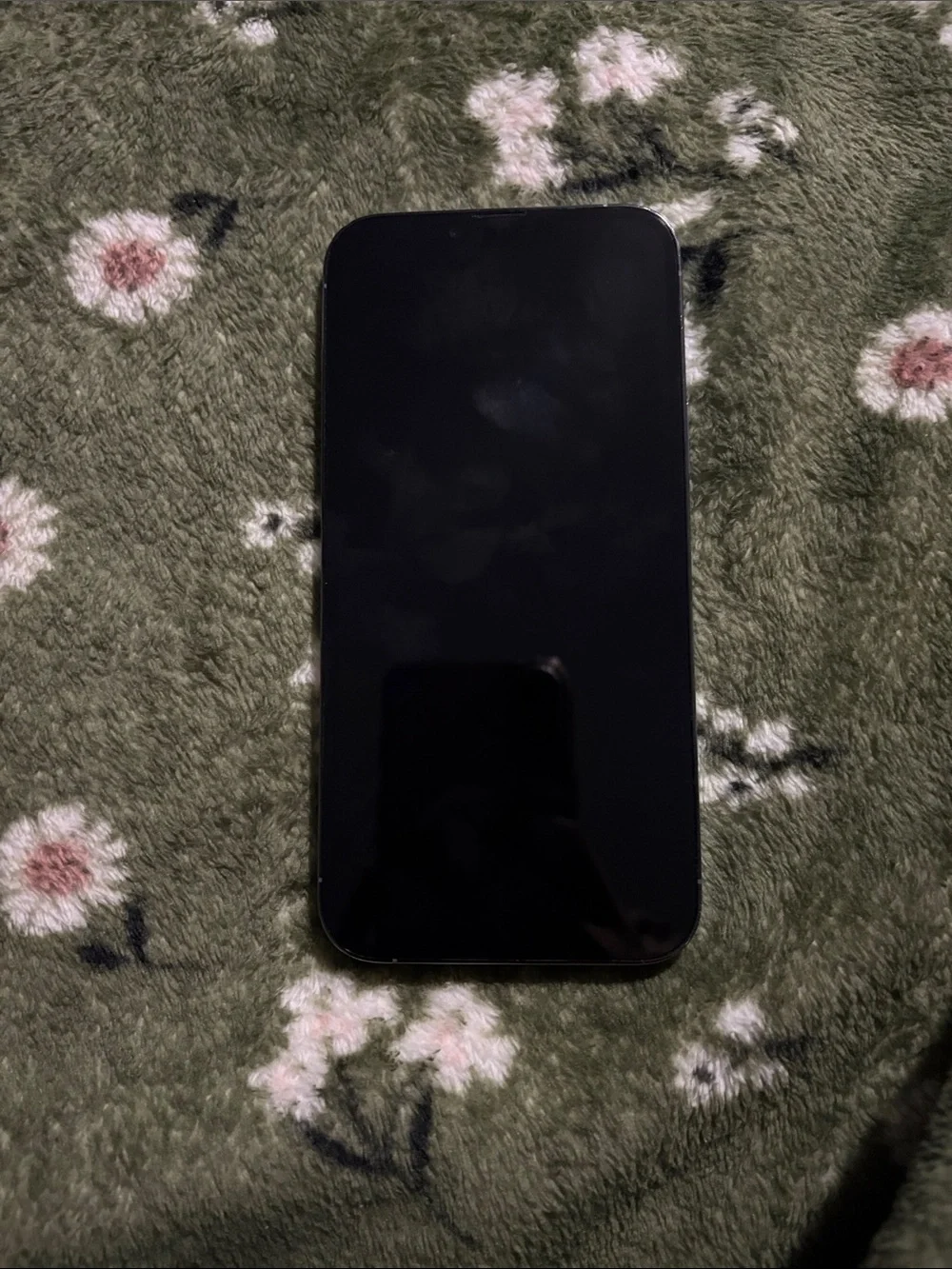 Apple Black iPhone with Edge-to-Edge Display